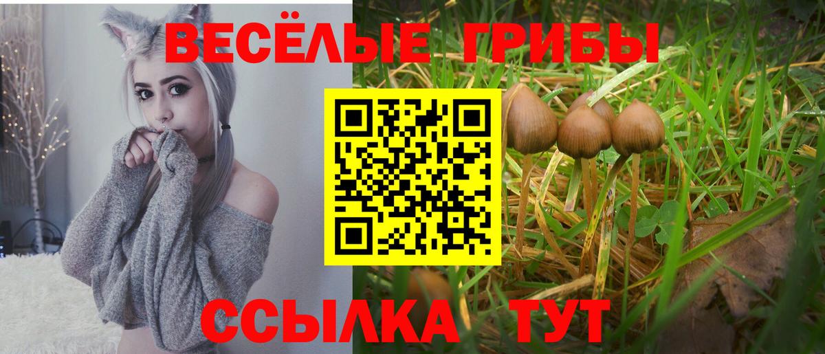 Псилоцибиновые грибы Psilocybine cubensis Ижевск